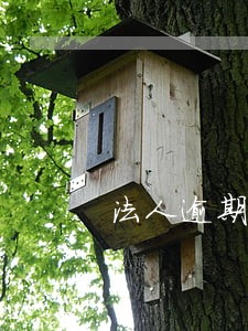 法人逾期影响公司信用吗 法人逾期影响公司信用吗