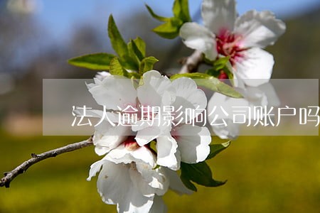 法人逾期影响公司账户吗 法人逾期影响公司账户吗