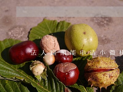 法人逾期能申请小微快贷吗