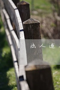 法人逾期要公司承担吗 法人逾期要公司承担吗