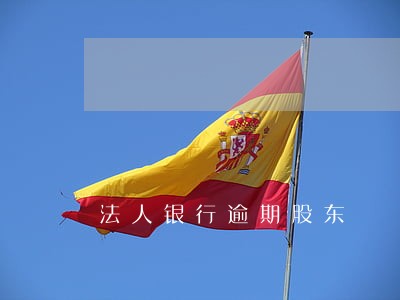 法人银行逾期股东