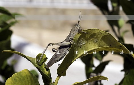 法人阻止营业地址变更违法吗 法人阻止营业地址变更违法吗