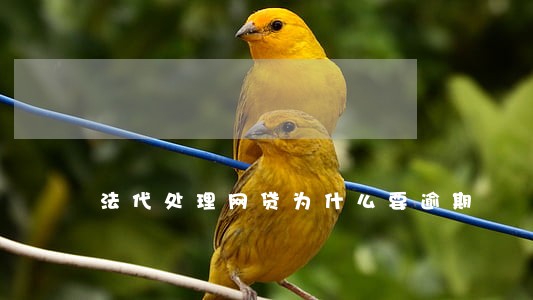 法代处理网贷为什么要逾期 法代处理网贷为什么要逾期