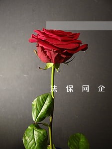 法保网企业法律顾问 法保网企业法律顾问