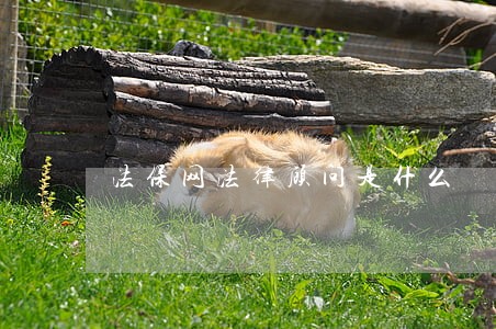 法保网法律顾问是什么 法保网法律顾问是什么