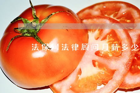 法保网法律顾问月薪多少 法保网法律顾问月薪多少