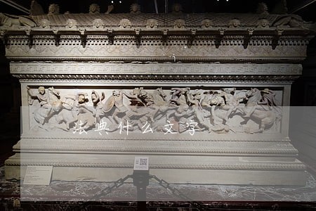 法典什么文字 法典什么文字