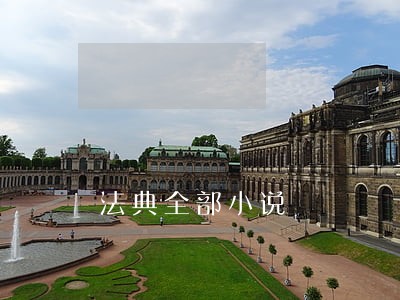 法典全部小说 法典全部小说