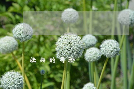 法典的考验 法典的考验