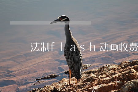 法制flash动画收费情况 法制flash动画收费情况