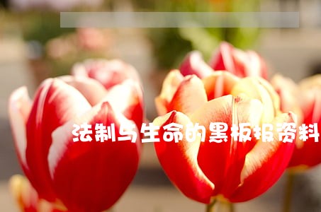 法制与生命的黑板报资料 法制与生命的黑板报资料