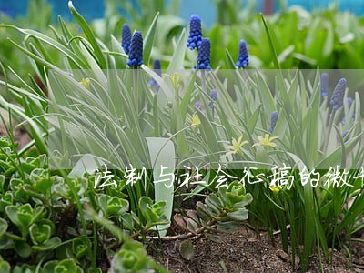 法制与社会征稿的微博 法制与社会征稿的微博