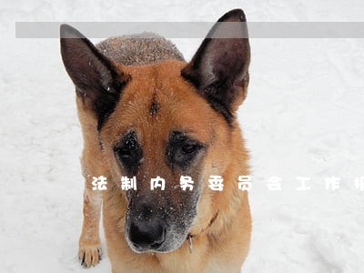 法制内务委员会工作报告 法制内务委员会工作报告
