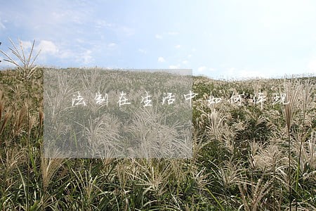 法制在生活中如何体现 法制在生活中如何体现