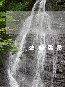 法制委员会审议法规案合法性 法制委员会审议法规案合法性