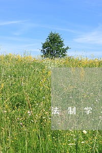法制学习心得体会范文 法制学习心得体会范文