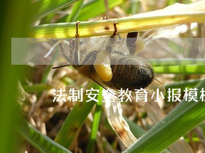 法制安全教育小报模板下载 法制安全教育小报模板下载