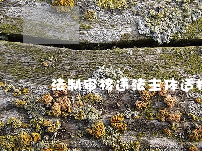 法制审核违法主体适格 法制审核违法主体适格