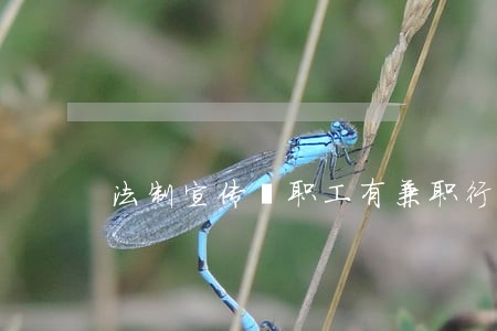 法制宣传丨职工有兼职行为 法制宣传丨职工有兼职行为