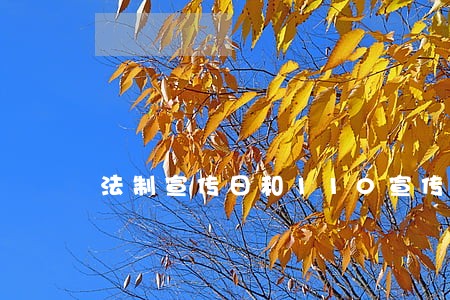 法制宣传日和110宣传日的区别 法制宣传日和110宣传日的区别