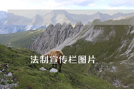 法制宣传栏图片 法制宣传栏图片