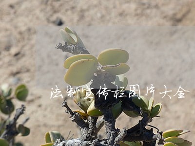 法制宣传栏图片大全 法制宣传栏图片大全