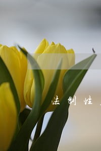 法制性原则 法制性原则