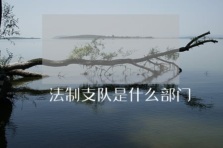 法制支队是什么部门 法制支队是什么部门