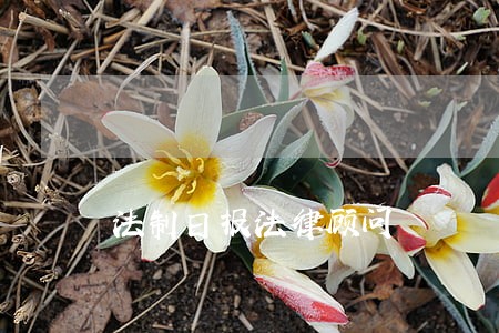 法制日报法律顾问 法制日报法律顾问