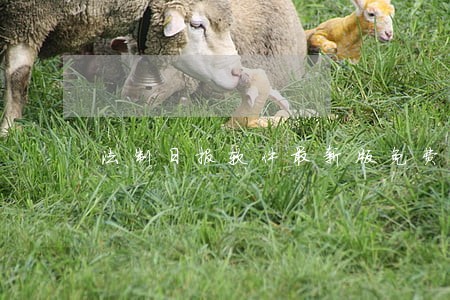 法制日报软件最新版免费下载 法制日报软件最新版免费下载