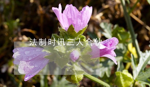 法制时讯三人合伙 法制时讯三人合伙