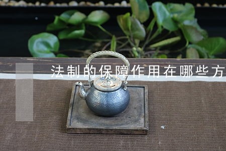 法制的保障作用在哪些方面 法制的保障作用在哪些方面