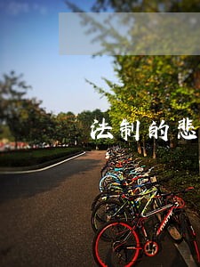 法制的悲哀与无奈