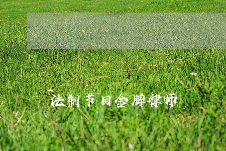 法制节目金牌律师 法制节目金牌律师