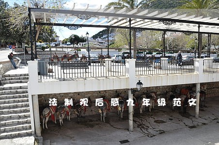 法制观后感九年级范文 法制观后感九年级范文