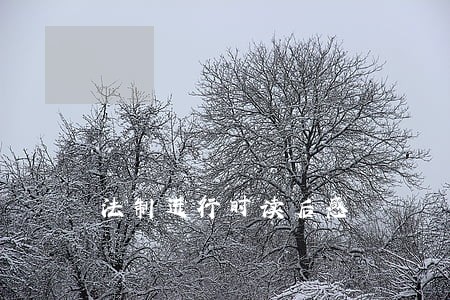 法制进行时读后感 法制进行时读后感