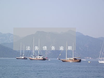 法务债务逾期 法务债务逾期