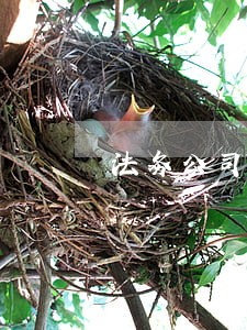 法务公司协商还款只还本金可信吗 法务公司协商还款只还本金可信吗