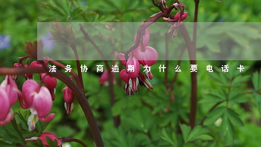 法务协商逾期为什么要电话卡 法务协商逾期为什么要电话卡