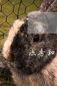 法务和律师那个工作好 法务和律师那个工作好