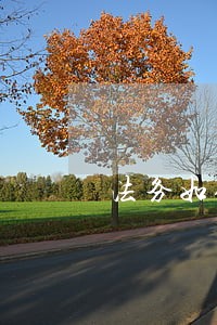 法务如何做好法律咨询 法务如何做好法律咨询