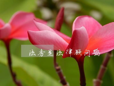 法务是法律顾问嘛 法务是法律顾问嘛