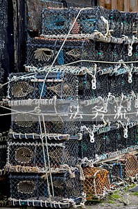 法务流程信用卡逾期