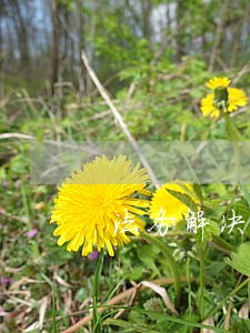 法务解决逾期怎样收费 法务解决逾期怎样收费