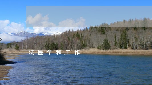 法医学和工作