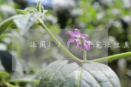 法国1791年宪法性质 法国1791年宪法性质