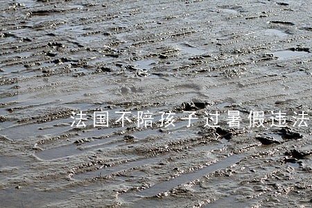 法国不陪孩子过暑假违法 法国不陪孩子过暑假违法