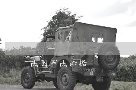 法国刑法证据