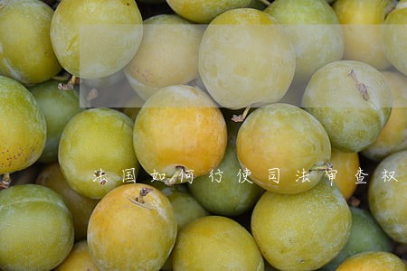 法国如何行使司法审查权