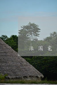 法国宪法骑士 法国宪法骑士